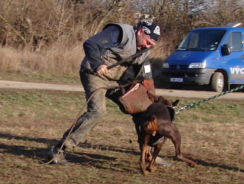 The christmas training 27.12.2006